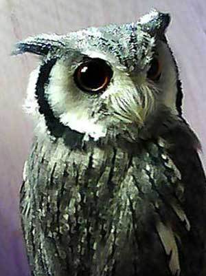 エドとロビンちゃんの素顔。