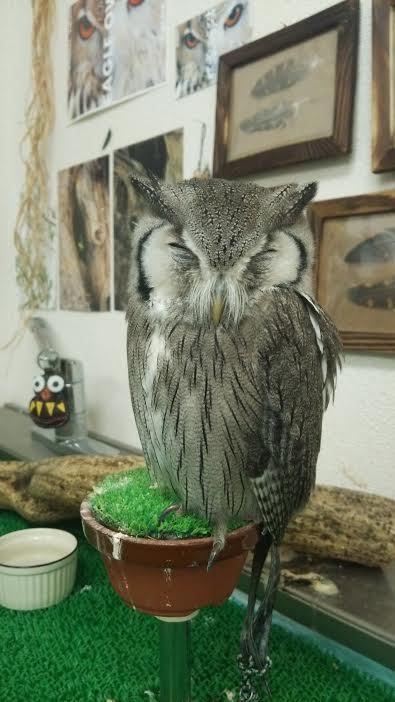 今日の龍空ちゃん。