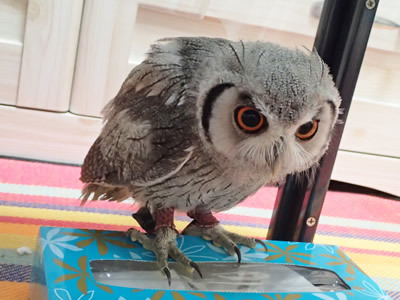 お久しぶりです！