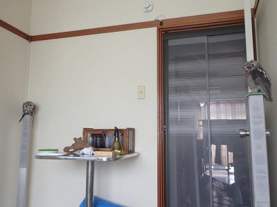 お気に入りはスピーカーの上