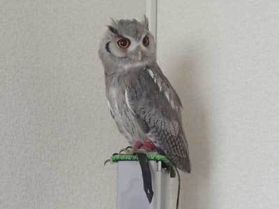 龍空（りく）の秘密