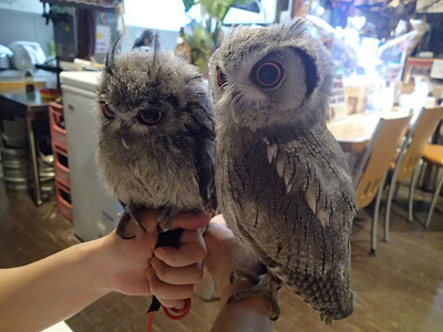 虎鉄と龍空、仲良し～♪