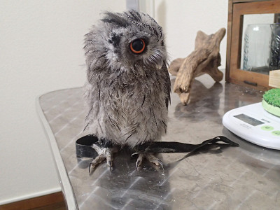 朝ごはん争奪戦・・続き