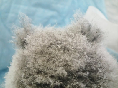 綿ぼこりじゃないよ。