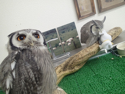 そんなに非常事態！？