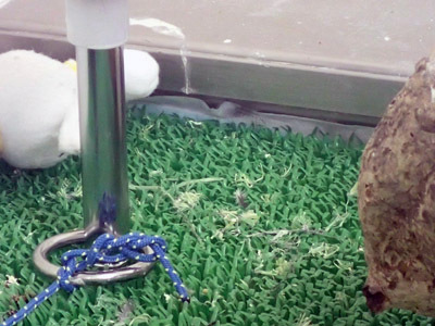 いらいら？（自作ファルコンブロックVer3）