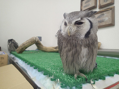 龍空とひまつぶし。