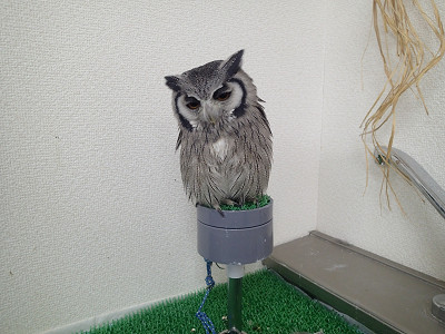 なんか気になる。