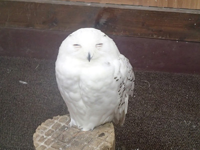 旅＿神戸花鳥園１