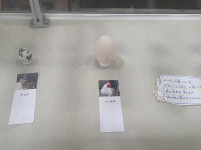 旅＿神戸花鳥園３