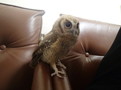 きれいな足になりました！