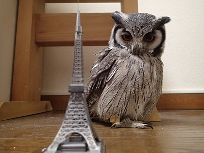 日常のひとこま。