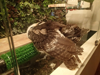 旅＿カフェクルーさんへ。