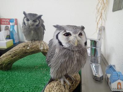 虎鉄＆龍空の一日 ２