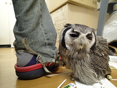 おとうちゃんと仲良し・・？