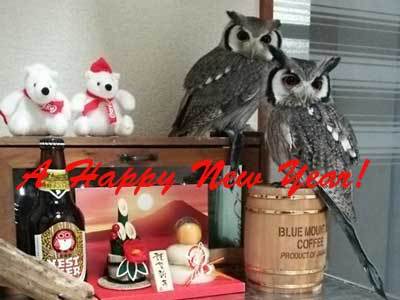 A HAPPY NEW ☆ YEAR