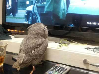 龍空のマイブーム