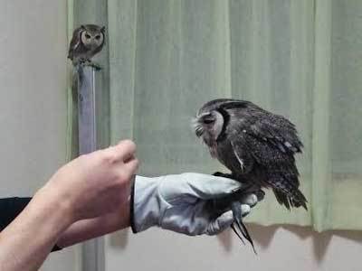 知らないヤツからご飯はもらわないもん。