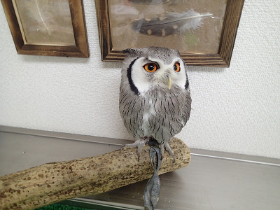 お気に入りの場所