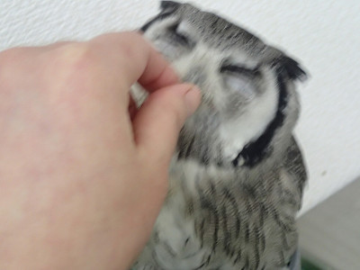 『ふぎゃぎゃぎゃぎゃぎゃぎゃぁ～～。』