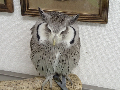 【動画】大切なもの。