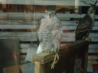 叶わない想い。