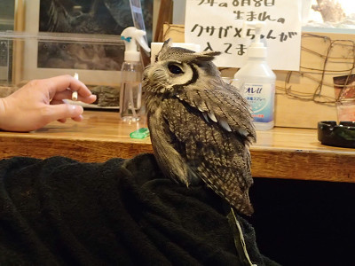 虎鉄のフリーフライト（笑）