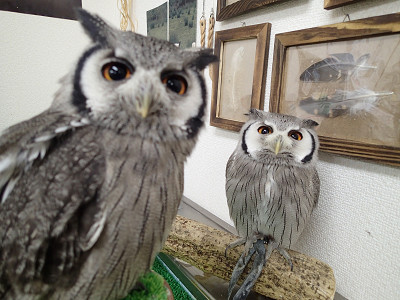 ご心配おかけしました。