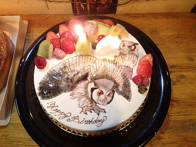 お絵かきケーキ、お披露目！