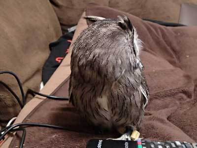 虎鉄、お久しぶり♪