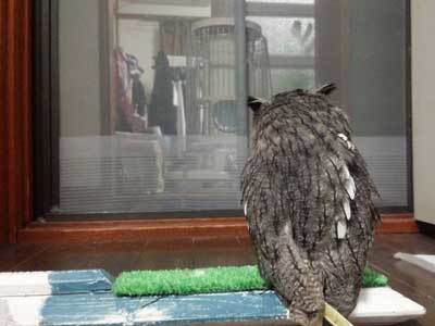 虎鉄の止まり木（笑）