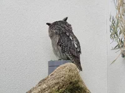 今日は何の日？