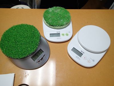 猛禽用体重計の精度をちぇっく！