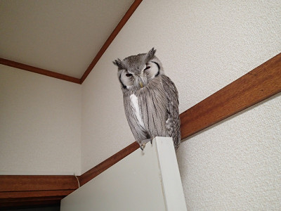 食事と健康管理。