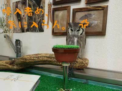 ちょっとくらいいいじゃん。