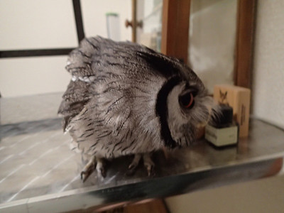 ご飯の前は・・。