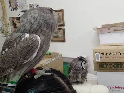 仕事場探索・・虎鉄と龍空の冒険！