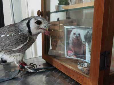 妹想いの龍空。