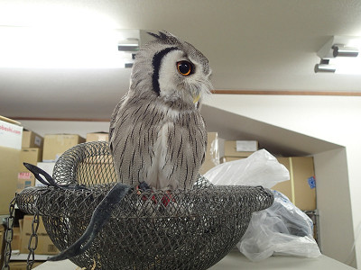 仕事場探索・・おまけ