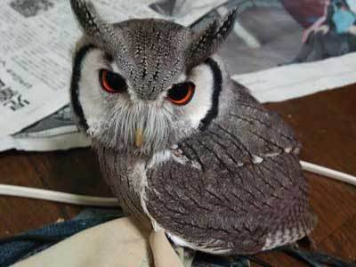 不安定なお天気になると・・。