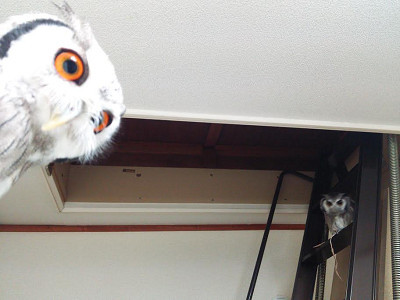 ライバル心、芽生える。