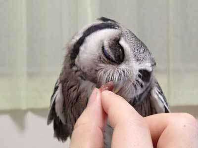 2コ、足りない。