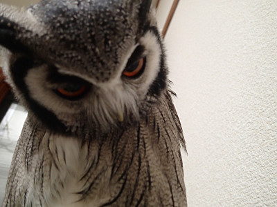 虎鉄と龍空の様子は・・。