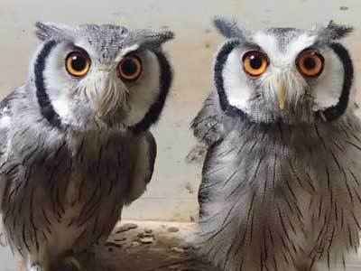 タイトル画像変更。