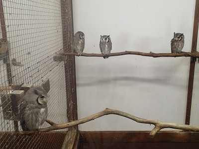 人生の岐路（！？）