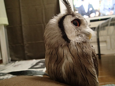 こればっかりは不可解？？