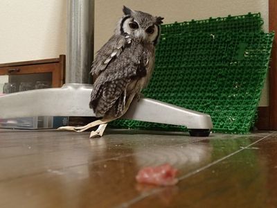 盗まれちゃいました。