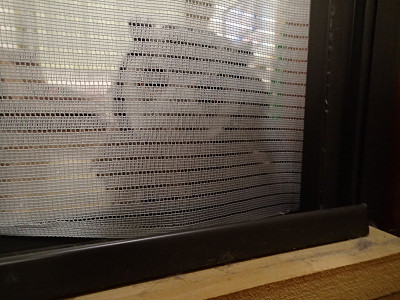 床がお気に入り♪