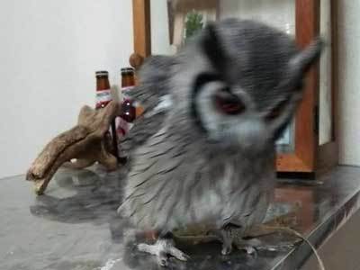 食欲、落ち着いてきました。