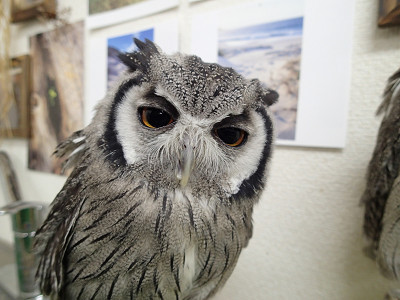 どんな年だった？